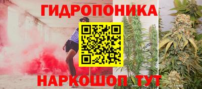 шишки Шебекино