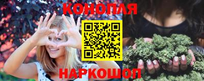 шишки Шебекино