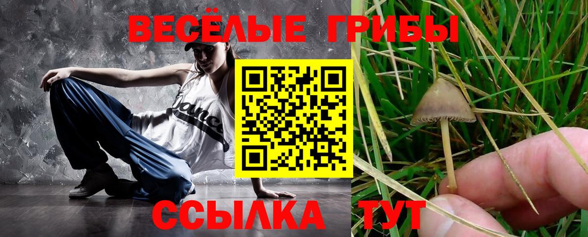 Гусиноозёрск  Псилоцибиновые грибы мухоморы  Вход с VPN 